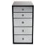 Pro Black 5-Drawer Mirrored Makeup Vanity Storage Unit