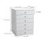 Chest Dimensions