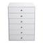Bright White 6-Drawer Chest
