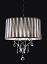 Ceiling Lamp