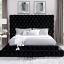 Black Bed
