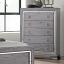 Gray Chest