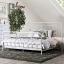 White Bed