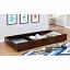 Dark Walnut Trundle