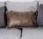 Light Gray/Brown Pillow