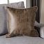 Light Gray/Brown Pillow