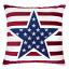 Accent Pillow