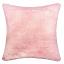 Pink Accent Pillow