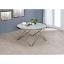 Frosted Glass Top/Champagne Coffee Table
