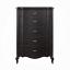 Antique Black Chest