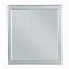 Platinum Mirror