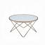 Frosted Glass Top/Champagne Coffee Table