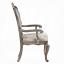 Arm Chair