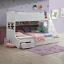 Twin/Full Bunk Bed