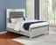 Panel Bed
