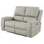 Grey Reclining Loveseat