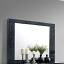 Black/Chrome Mirror
