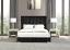 Black Bed