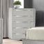 Light Gray Chest