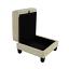 Beige Storage Ottomen