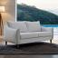 Light Gray Loveseat