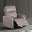 Light Brown Power Recliner