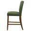 Dining Chair Green