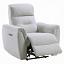 Motion Recliner