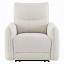 Motion Recliner