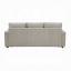 Sleeper Sofa