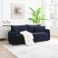 Sleeper Sofa