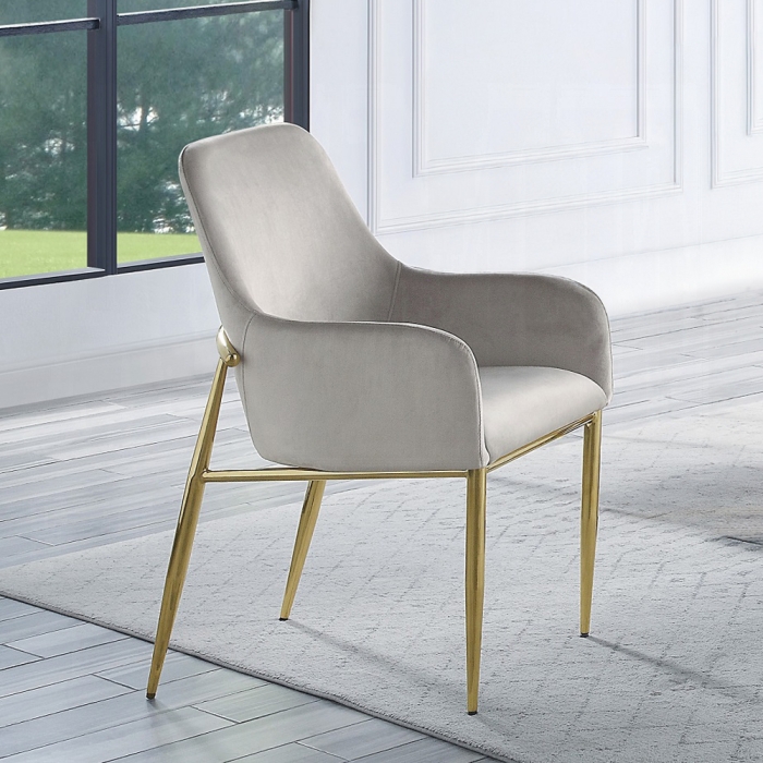 Barnard Gray Velvet Side Chair Set of 2