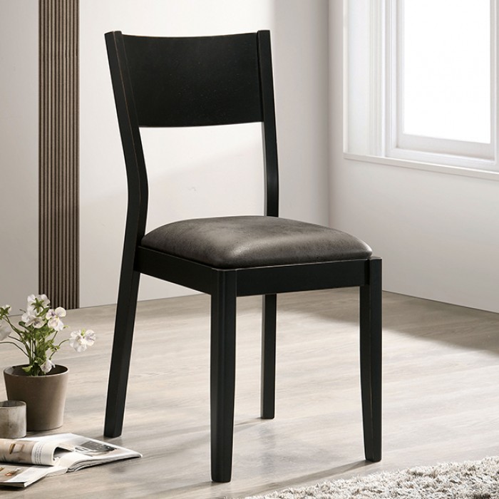 Oberwil Mid-century Modern Chair Set of 2