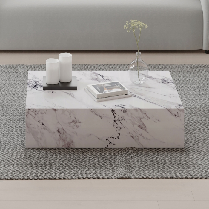 Fritzy Minimalist Design Coffee Table