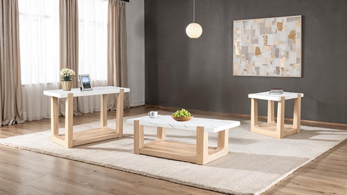 Sundbry Modern Contemporary Coffee Table