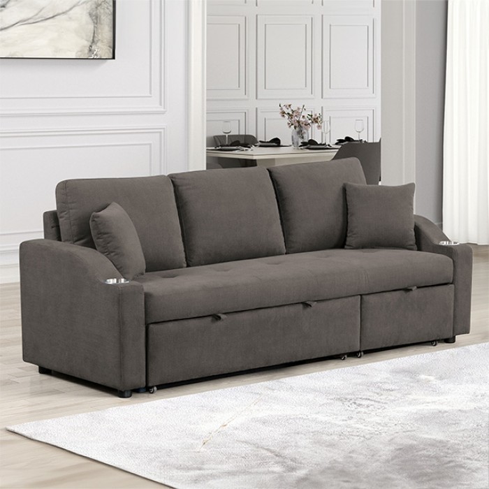 Royden Contemporary Pull-Out Sleeper Sofa