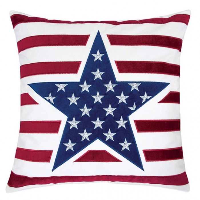 Texis Novelty Accent Pillow - Set of 2
