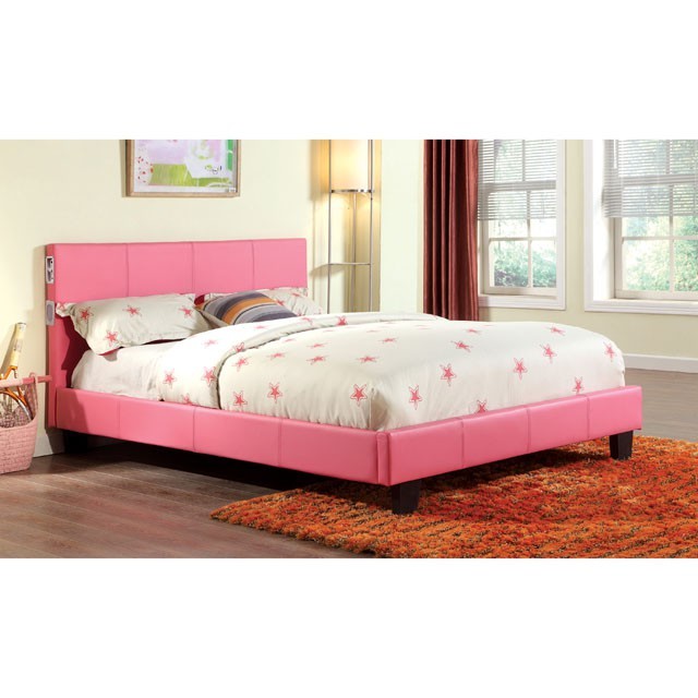 Evans Contemporary Style Padded Platform Bed