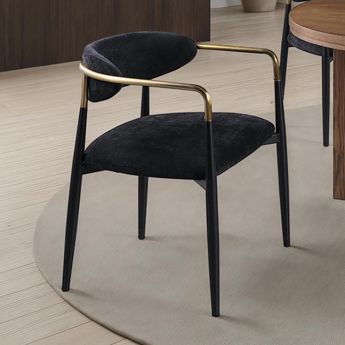 Gaetani Contemporary Arm Chair Set of 2