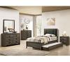 Roanne Charcoal Button Tufted Youth Bed