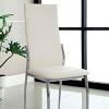 Kalawao Contemporary Side Chair Set of 2