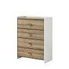 Posey Contemporary Chest