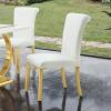 Holstebro Contemporary Gold/White Side Chair Set of 2