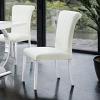 Holstebro Contemporary Silver/White Side Chair Set of 2