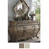 Ragenardus Dresser